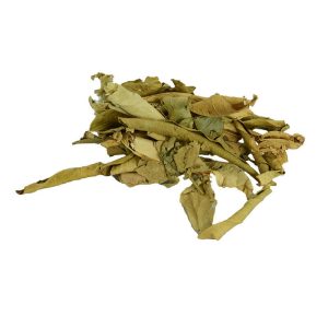 Tç Yaprağı Doğal 100 Gr Paket