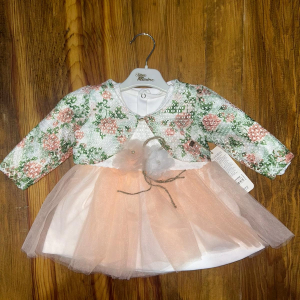 9-18 aylık prenses elbise pudra