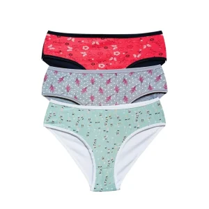 Pamuklu Geniş Kenarlı Likralı Desenli Bato Kadın Külot 3'lü Paket Set1