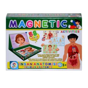 Utku Oyuncak Laço LC7171 Manyetik Aktiviteler Insan Anotomisi