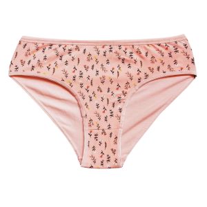 Pamuklu Geniş Kenarlı Likralı Desenli Bato Kadın Külot Desen 9