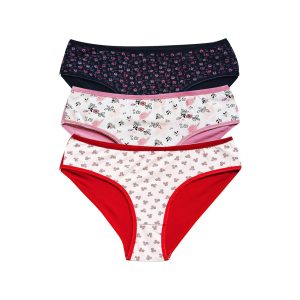 Pamuklu Geniş Kenarlı Likralı Desenli Bato Kadın Külot 3'lü Paket Set2