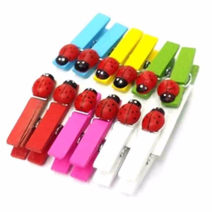 12'li Uğur Böcekli Mini Sunum Mandal Royaleks-MLN-30280