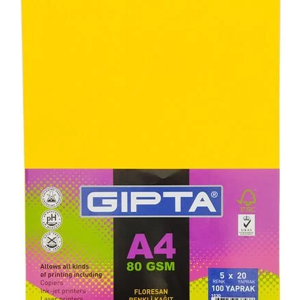 Gıpta 1530 A4 5 Neon Renk 100 lü Fotokopi Kağıdı