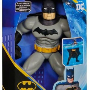 Batman Yüzme Arkadaşları - 6067008