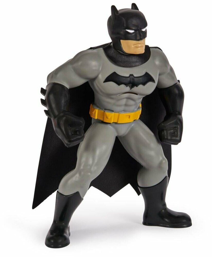 Batman Yüzme Arkadaşları - 6067008 - Görsel 3