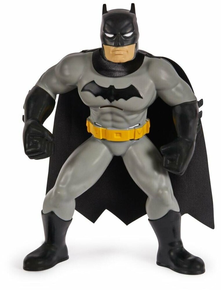 Batman Yüzme Arkadaşları - 6067008 - Görsel 4