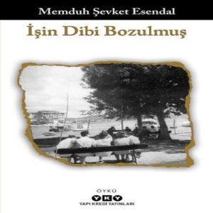 İşin Dibi Bozulmuş