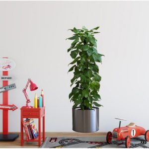 Saksılı Bitki Tasarımlı Yapışkanlı Sticker Resim 90*30 cm (5296)