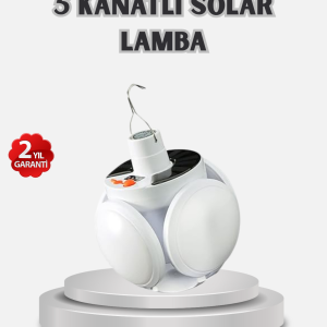 Altın Sol Anahtarı Müzik Kutusu Döner Mekanizmalı
