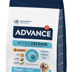 Advance Dog Puppy Protect Maxı 12 Kg