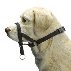 Beeztees Köpek Eğitim Tasması, Baş Kontrollu, Siyah, XL