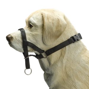 Beeztees Köpek Eğitim Tasması, Baş Kontrollu, Siyah, XS