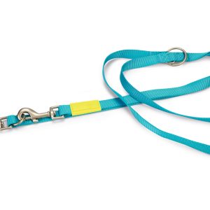 Beeztees Köpek Gezdirme Kayışı, Turkuaz, 200cm, 20mm