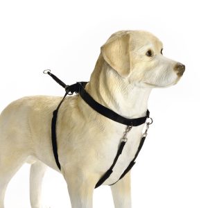 Beeztees Köpek Yürüyüş Eğitim ve Düzeltme Tasması, M