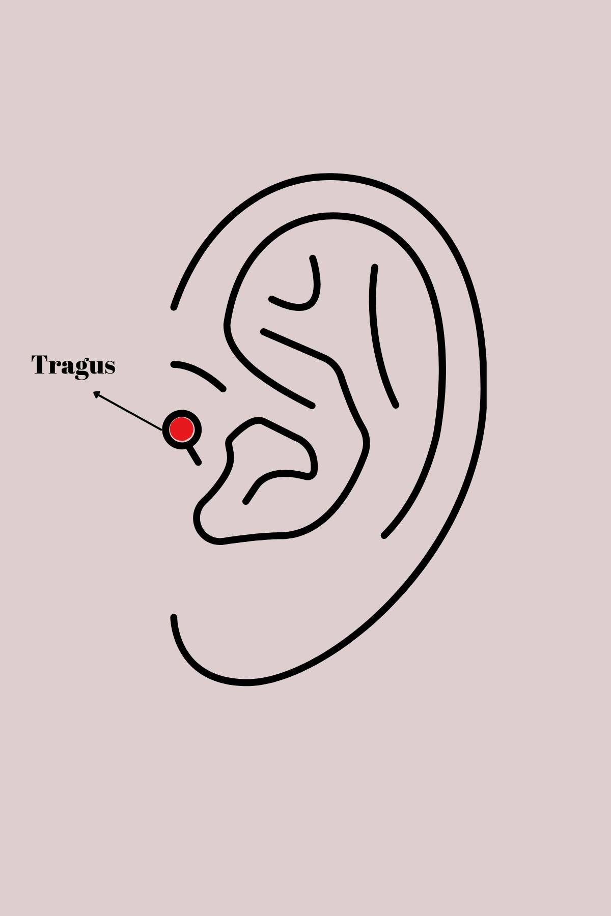 316L Çelik Gümüş Renk Zirkon Taşlı Mavi Boncuk Detay Tragus Piercing - Görsel 2