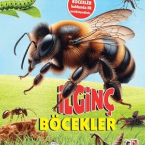 3D Şaşırtıcı Biiler - İinç Böcekler