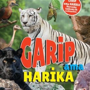 3D Şaşırtıcı Biiler - Garip Ama Harika