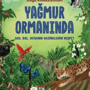Yağmur Ormanında