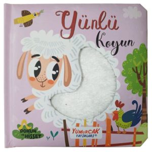Yünlü Koyun