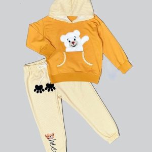 2-3-4 Yaş Pelüş Ayı Desenli Kapşonlu Uzun Kollu Penye Sweat 2li Erkek Çuk Takımı Tcu